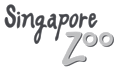 singapore zoo
